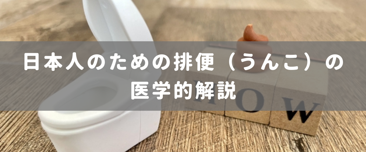 うんこ（排便）の医学的解説