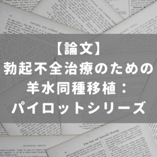 ポルノが若者の性的健康と行動に与える影響